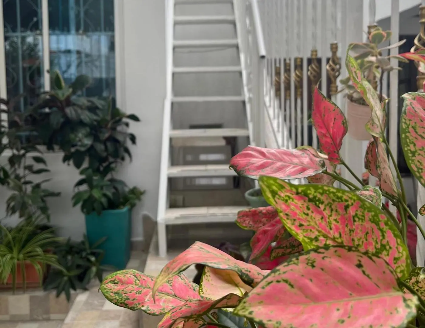 Northwest Hostings 201 Apartment Cartagena